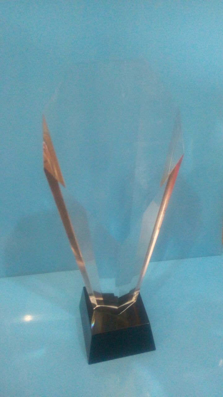 Shiny crystal plaque with 3D branding effect